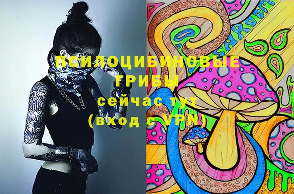 apvp Елабуга
