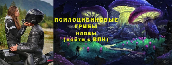 apvp Елабуга