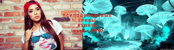 героин Ельня